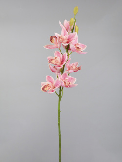 Орхидея Цимбидиум декоративная 75 см Азалия розовый DMH HD9355PK